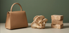 Beyond Food: How Mushroom Mycelium Becomes Leather, Packaging, and Buildings